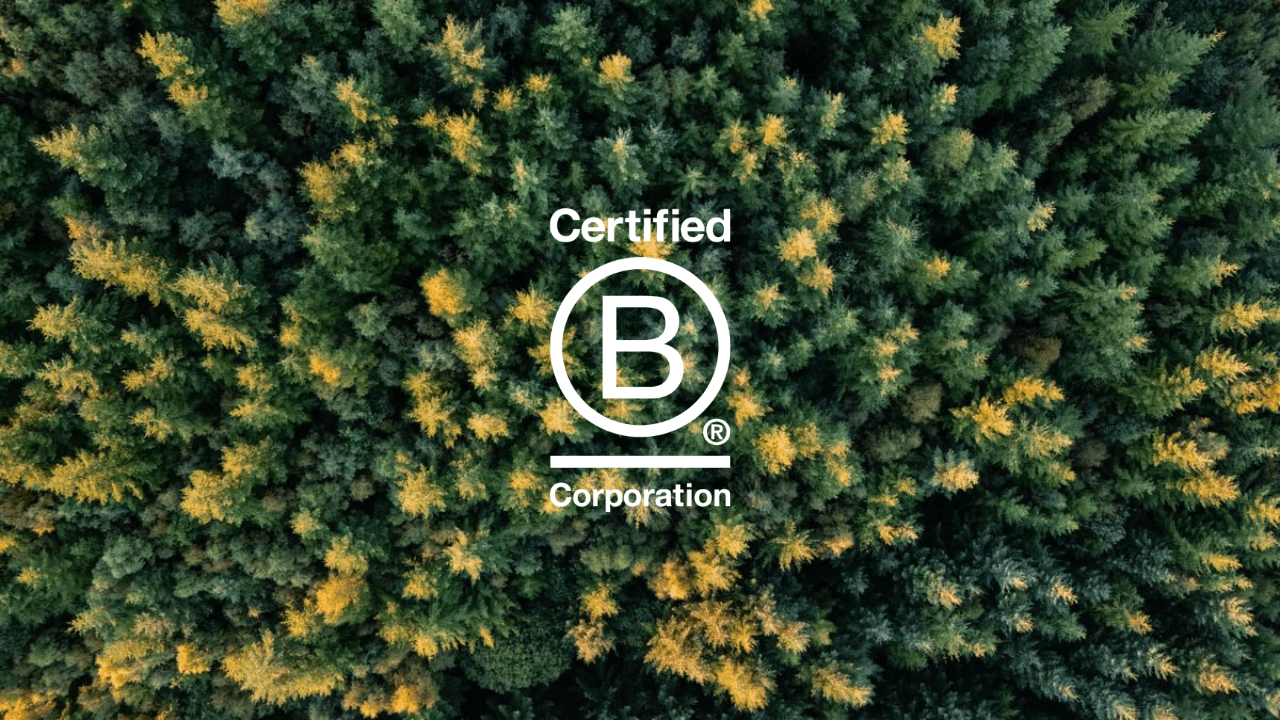 Sims Hilditch A Certified B Corp Studio