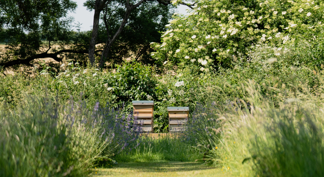 Becoming a B Corp Interior Design Studio