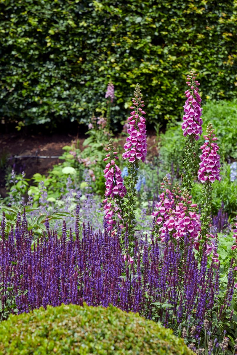 sims-hilditch-interior-design-wiltshire-barn-conversion-flowers