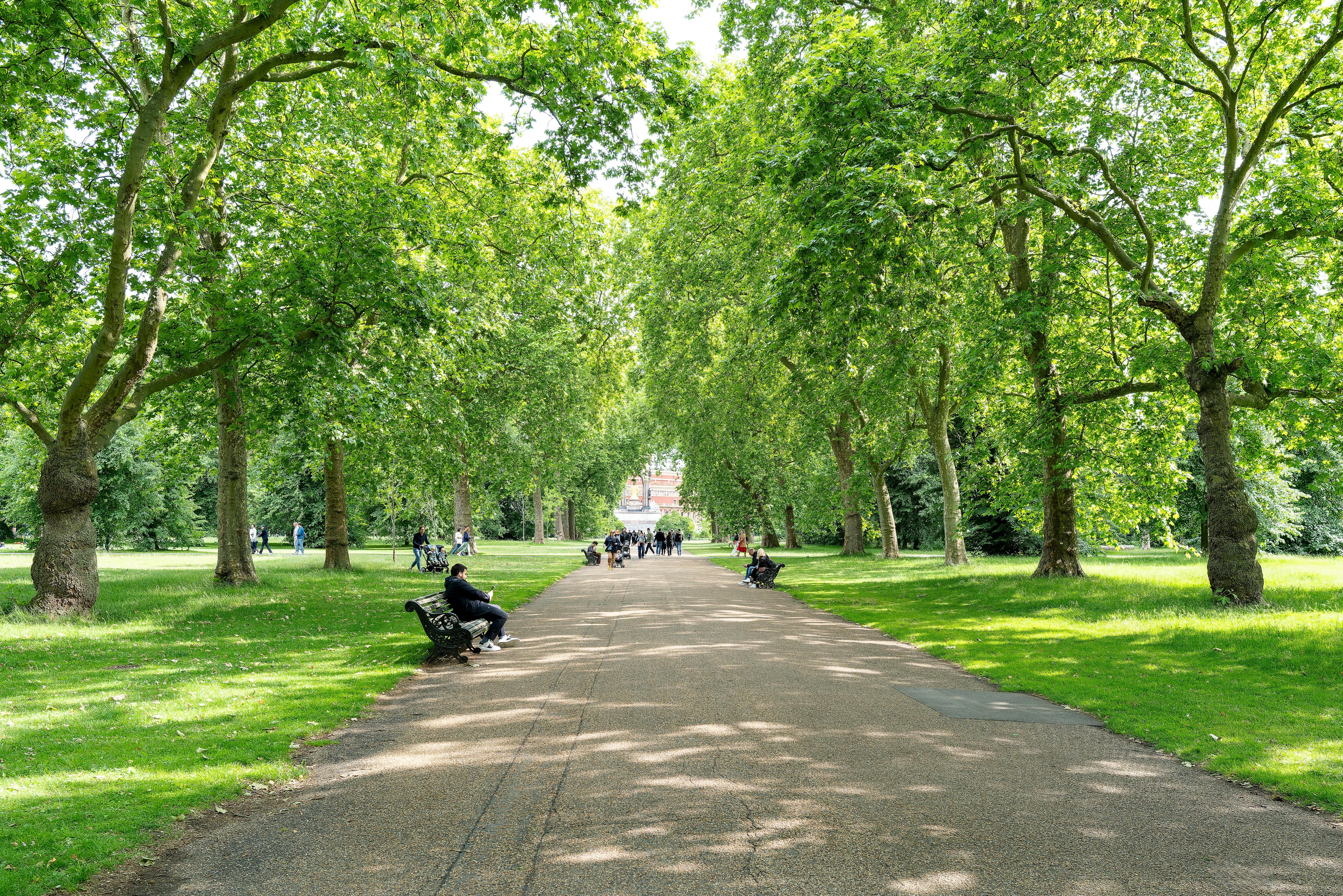 Pexels Bob Jenkin 2007649943 32666094