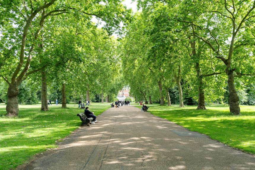 Pexels Bob Jenkin 2007649943 32666094