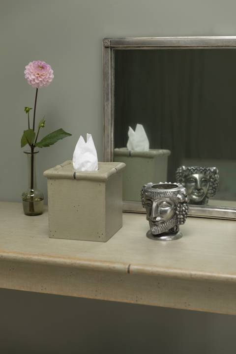 ASH123 10D Tissue Box Bone 1