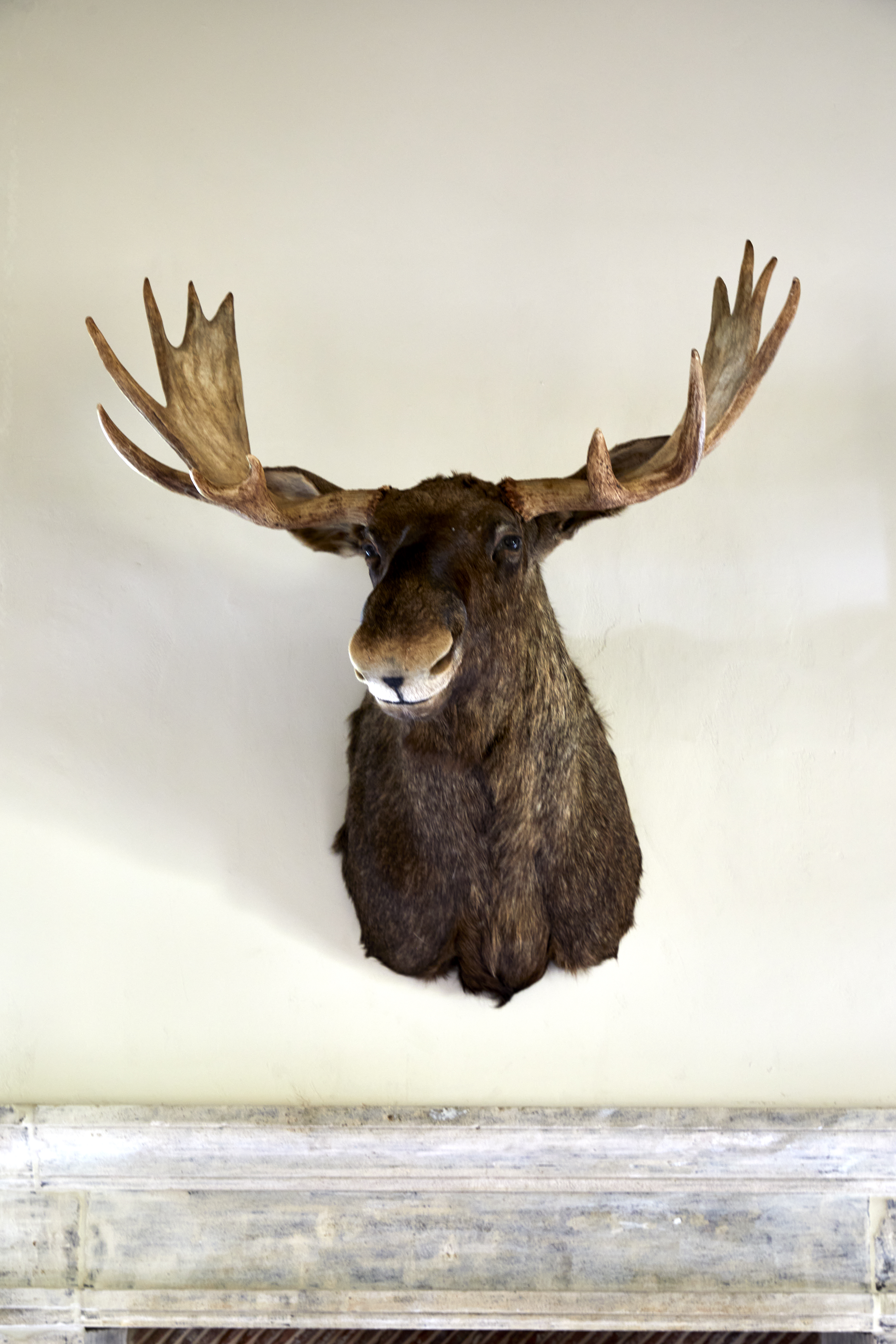 Sims Hilditch The Party Barn (40)