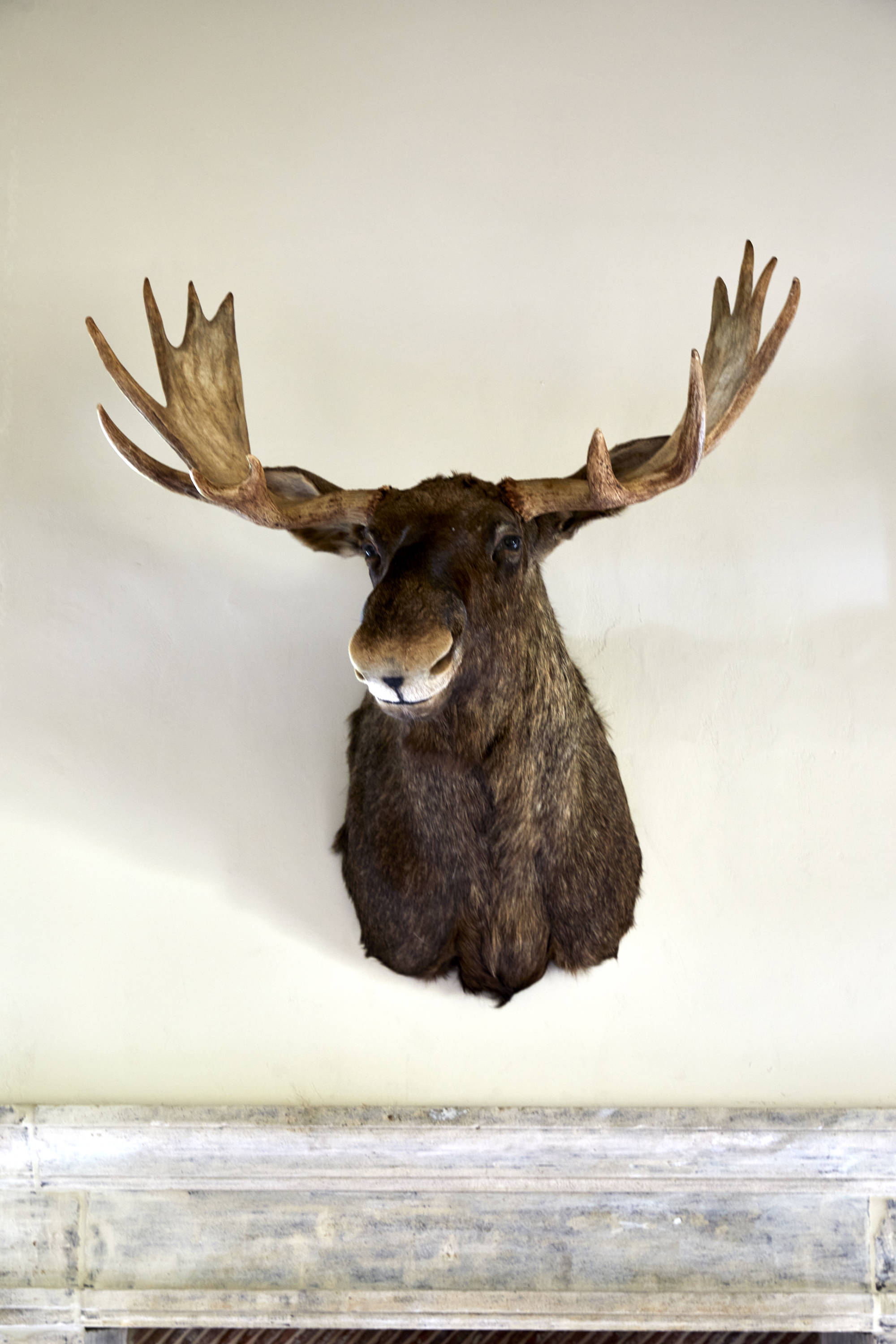 Sims Hilditch The Party Barn (40)