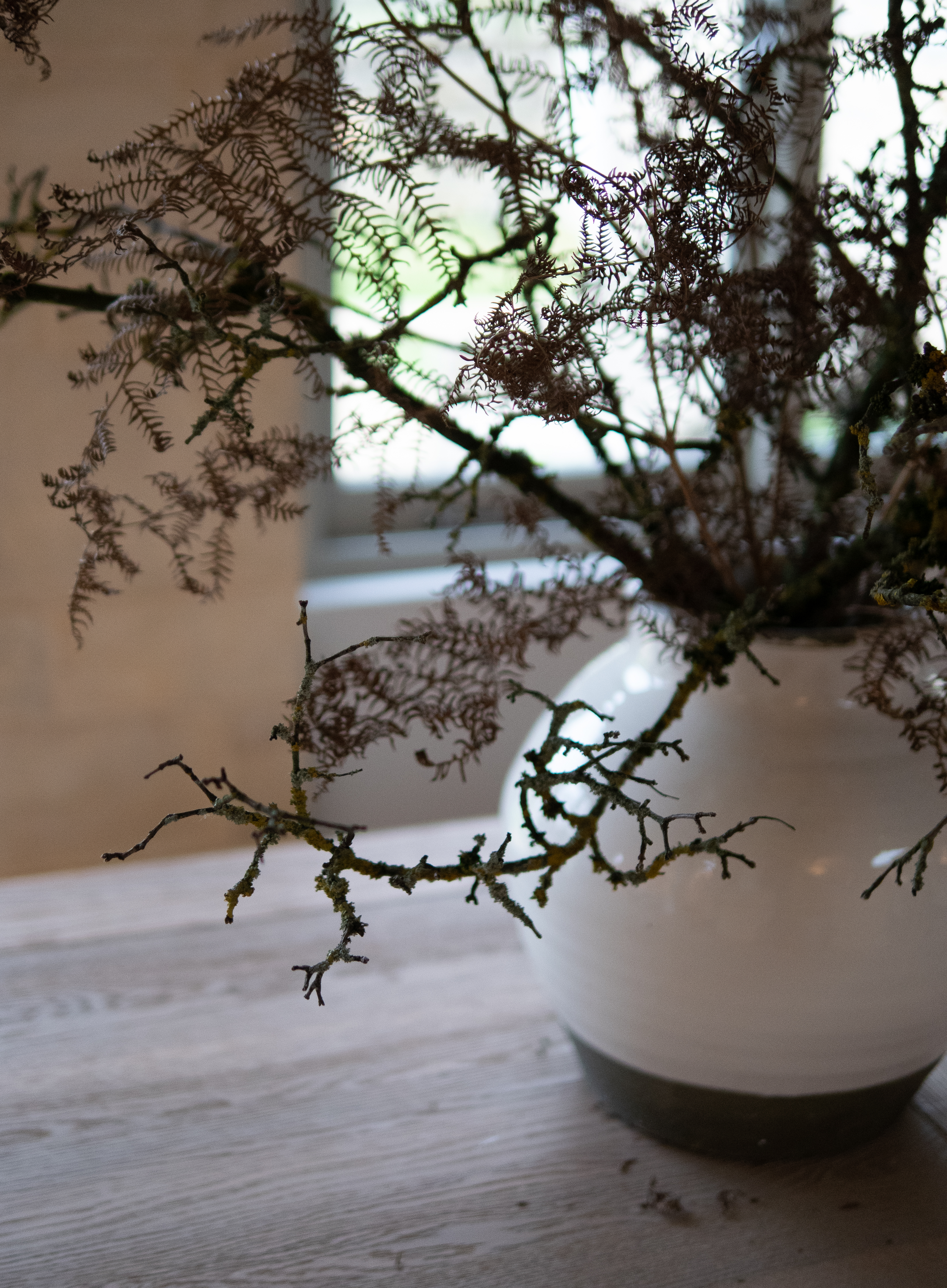 Sims Hilditch Christmas Decor (1)