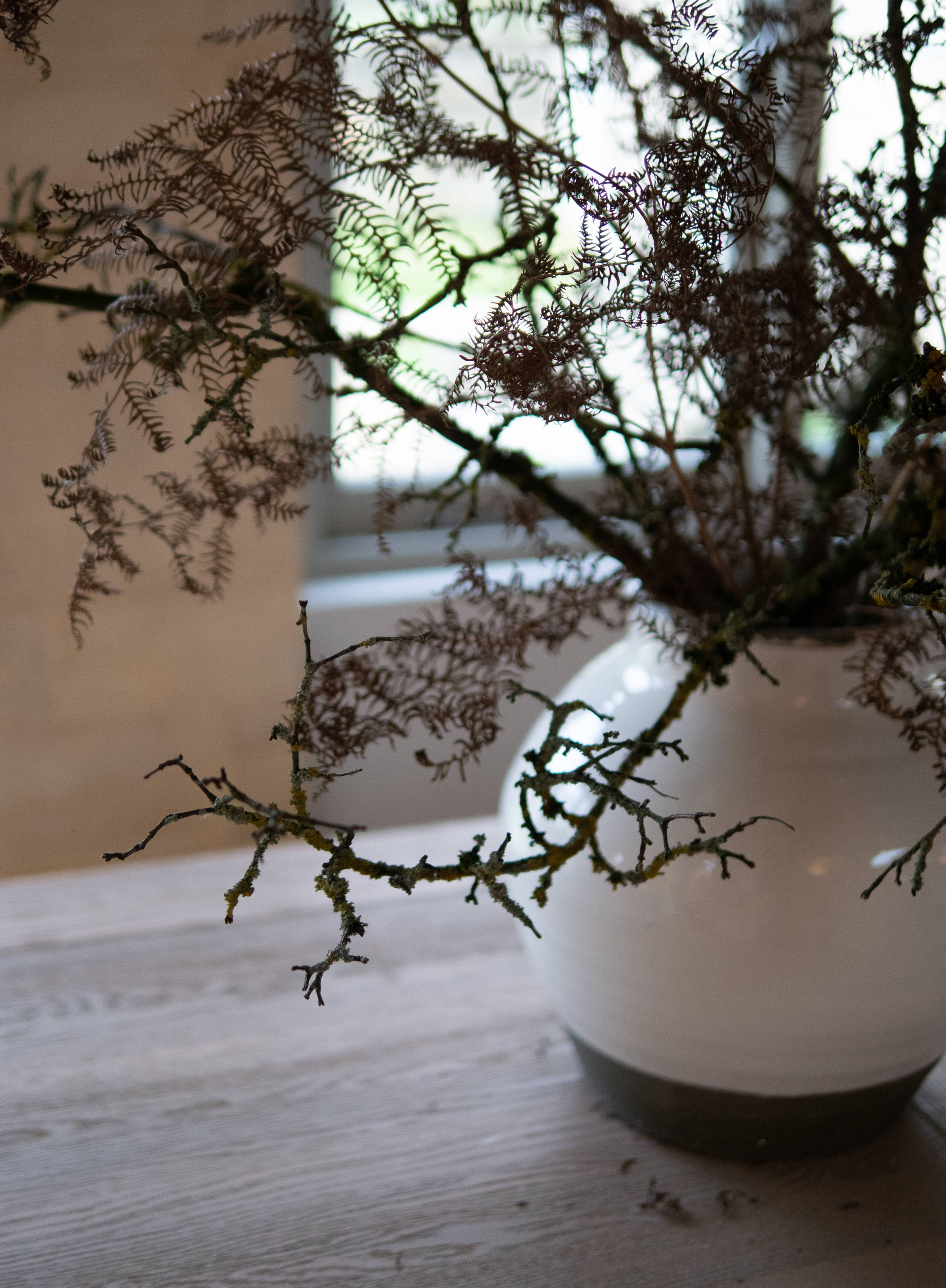 Sims Hilditch Christmas Decor (1)