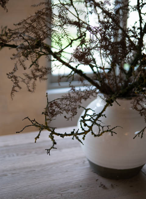 Sims Hilditch Christmas Decor (1)