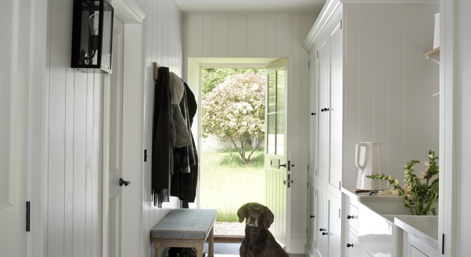 Ideas to Create A Pet Friendly Home
