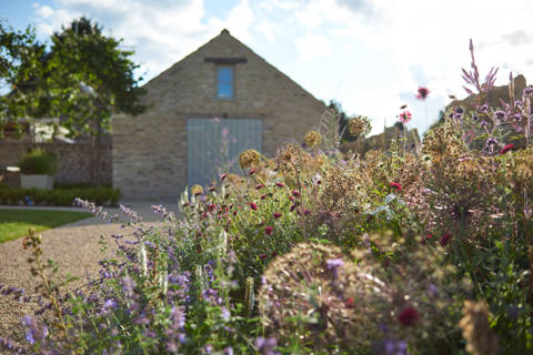 White Hart 22 July 2015 01